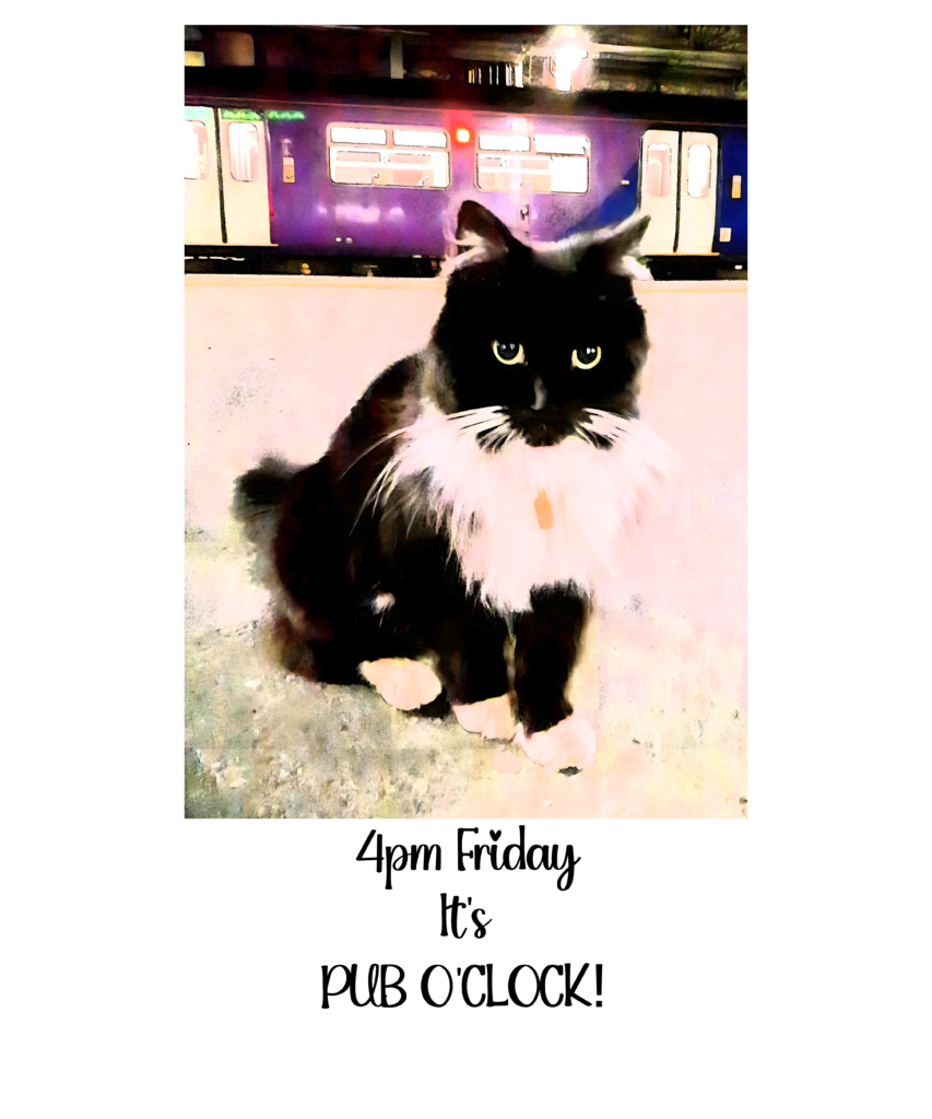 Pub O'Clock Felix The Huddersfield Station Cat