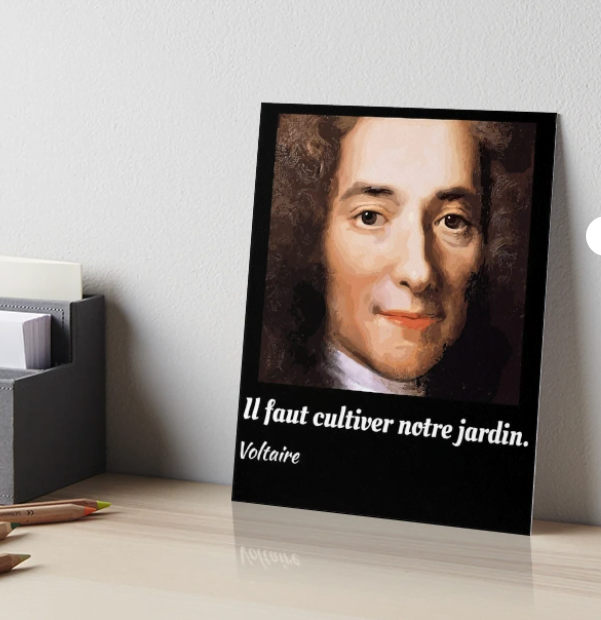 Il Faut Cultiver Notre Jardin Art Print